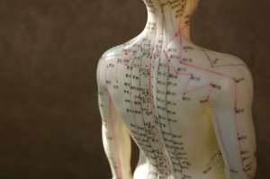Acupuncture Model